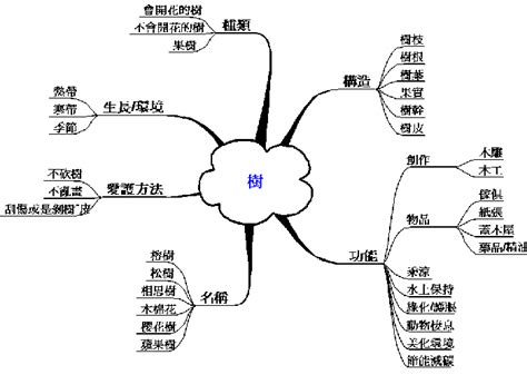 樹木的功用|在公園,與樹相遇